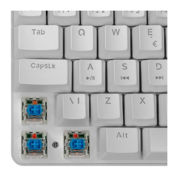 Teclado Mecânico Gamer TGT Sherman Compacto Rainbow ABNT2 Switch Azul Branco 61 Teclas Alta Performance – SEG IMPORTS
